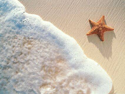  L'Homme De Ma LiiiFe & MOua*